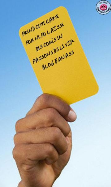 prend cette carte por ne po laiss� des com's en passons ds le vip-blog danass